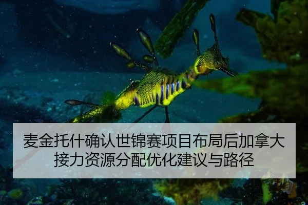 麦金托什确认世锦赛项目布局后加拿大接力资源分配优化建议与路径