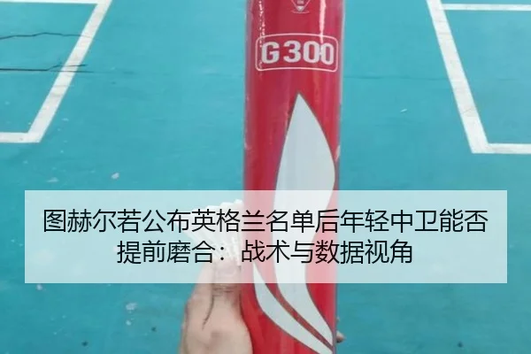 tu-he-er-ruo-gong-bu-ying-ge-lan-ming-dan-hou-nian-qing-zhong-wei-neng-fou-ti-qian-mo-he-zhan-shu-yu-shu-ju-shi-jiao-2-538.jpg