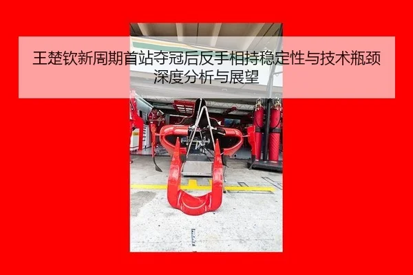王楚钦新周期首站夺冠后反手相持稳定性与技术瓶颈深度分析与展望