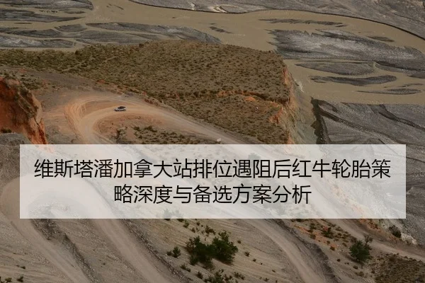 维斯塔潘加拿大站排位遇阻后红牛轮胎策略深度与备选方案分析